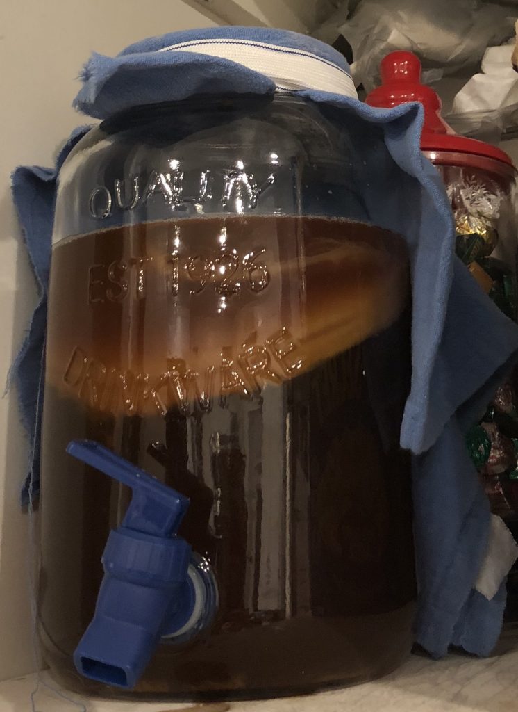 Kombucha fermenting