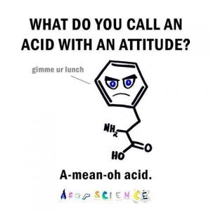 amino acid - Kristen Ziesmer, Sports Dietitian - How Much Protein do I Need for Optimal Health and Performance